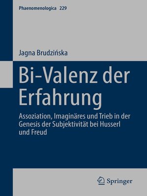 cover image of Bi-Valenz der Erfahrung